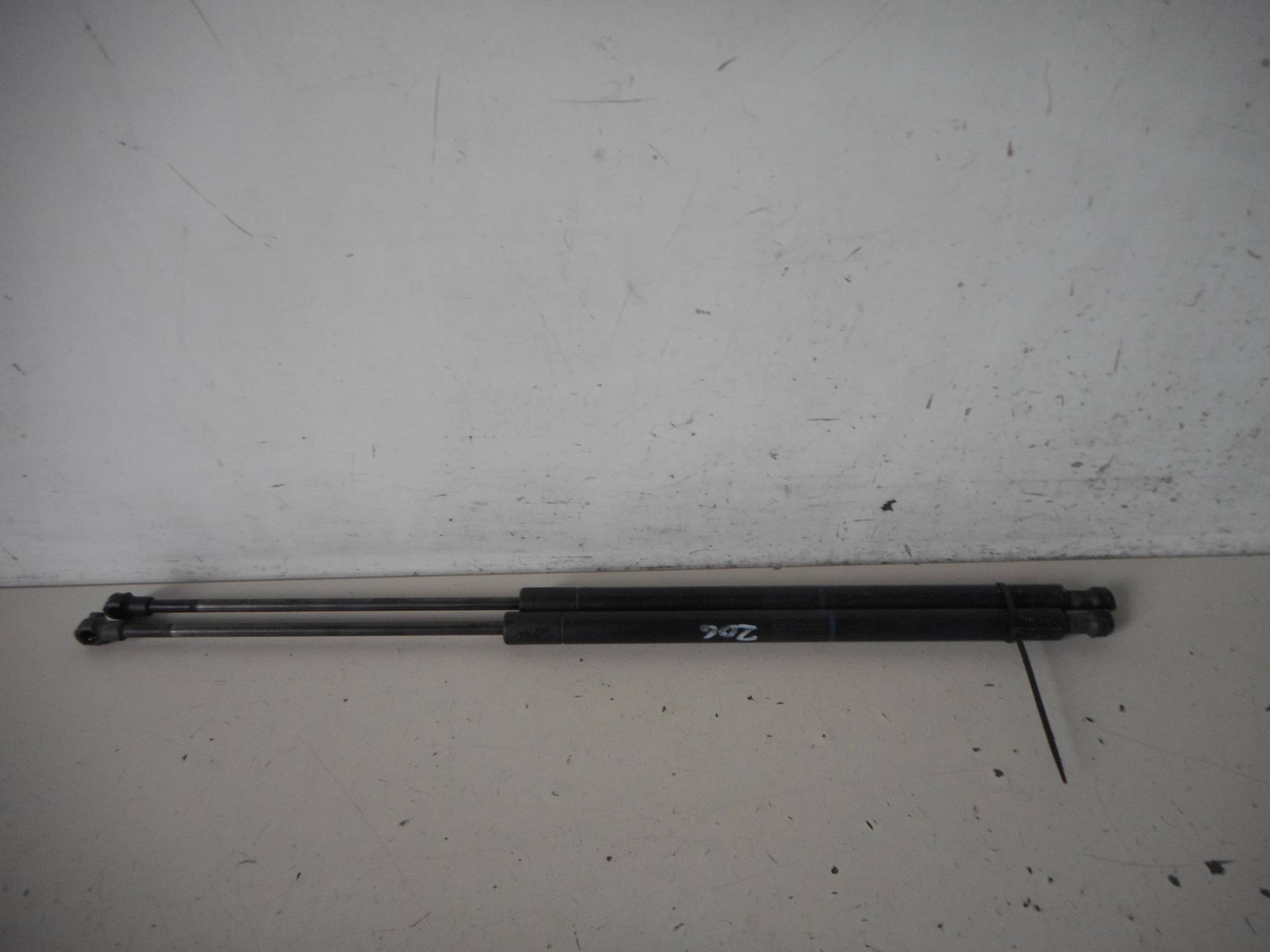 Asta ammortizzante portello post. sx.